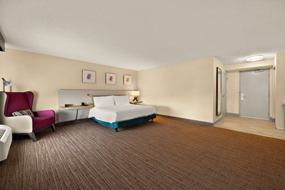 Hilton Garden Inn Williamsburg - photo 19