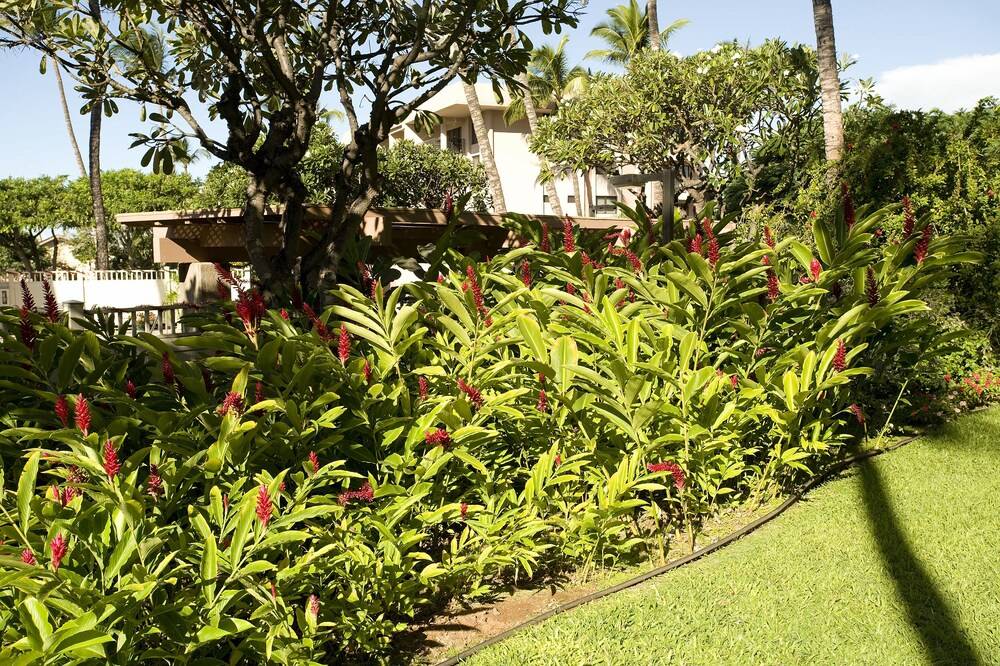 Crh Kihei Akahi - photo 65