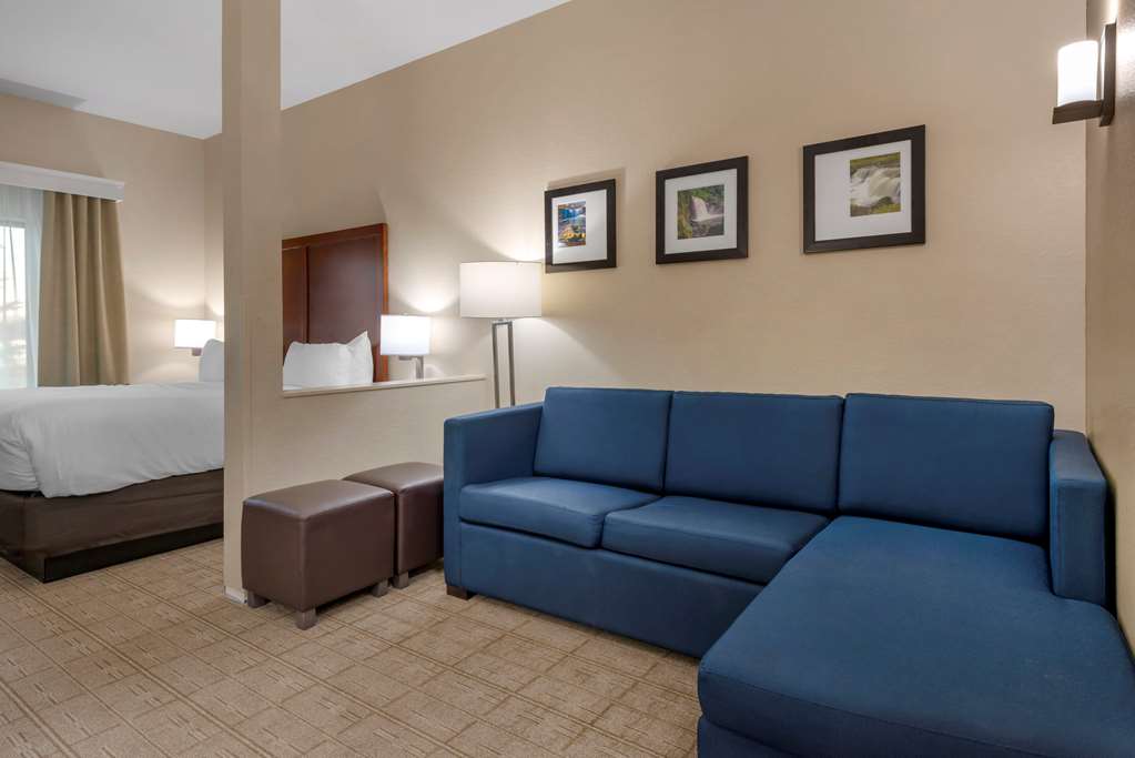 Comfort Inn & Suites North Mankato - photo 32