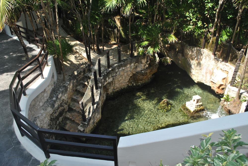 Natural pool