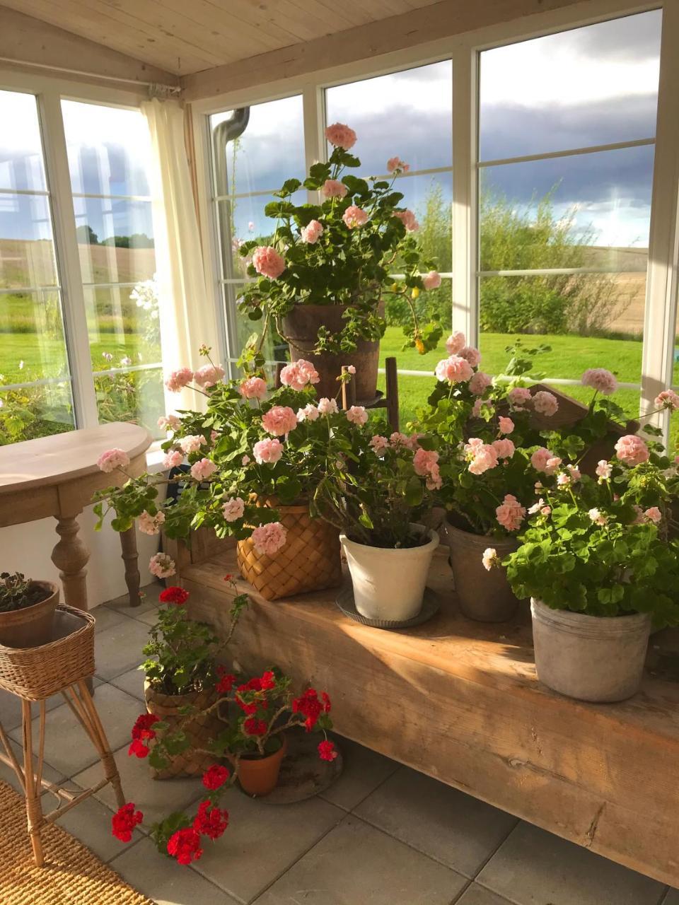 Blomstertantens Hus — Trelleborg — photo 2