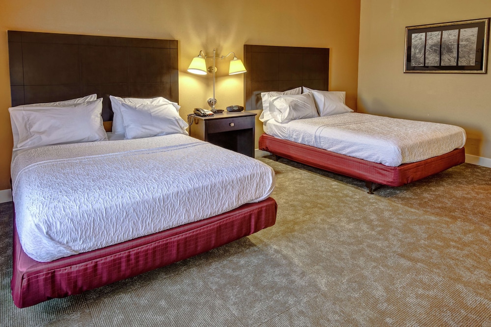 Hampton Inn Jacksonville Anniston Area - photo 13