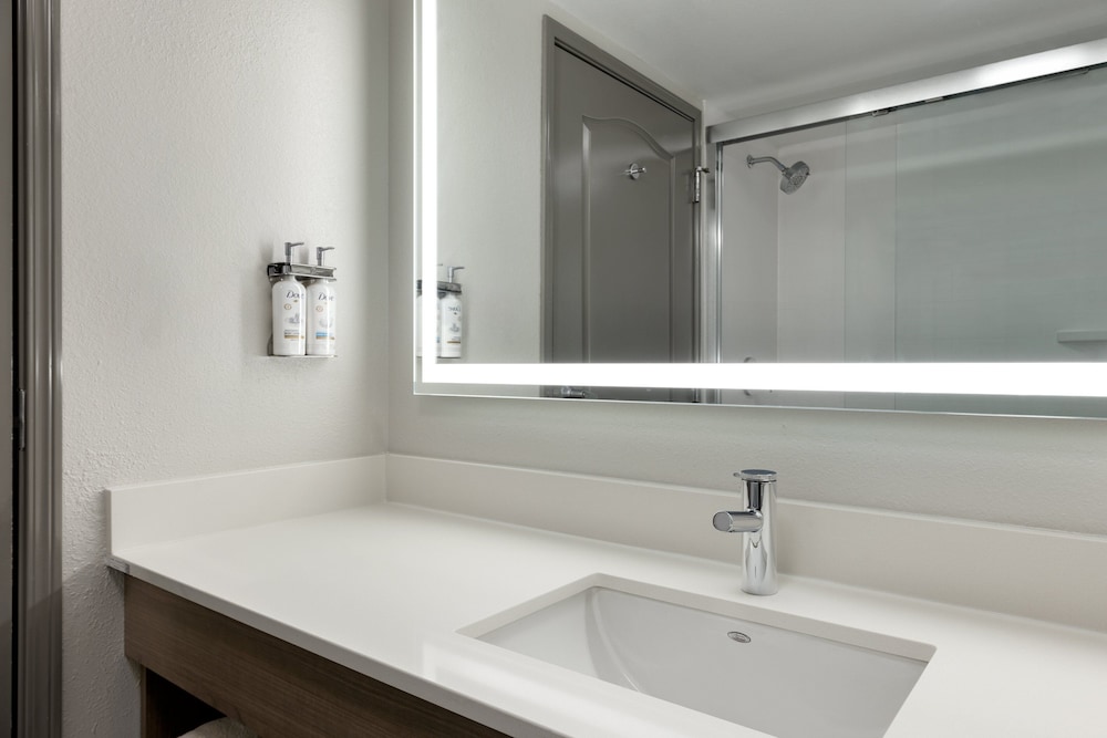 Holiday Inn Express Savannah Airport - photo 20