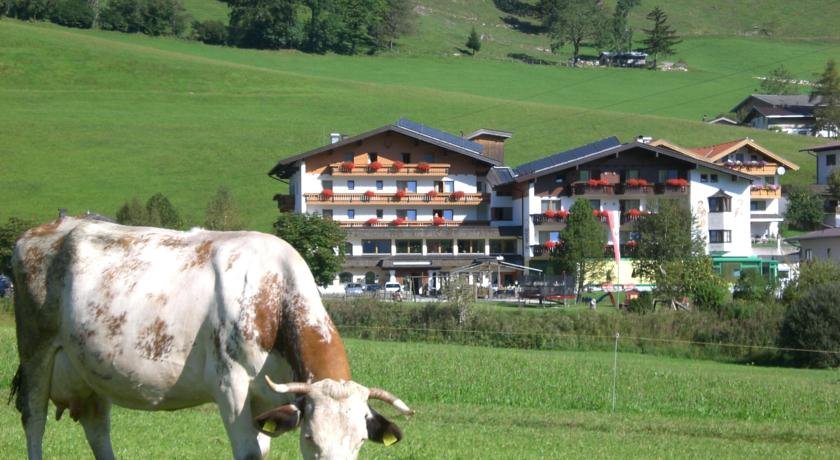 Wildauerhof in Walchsee, Austria