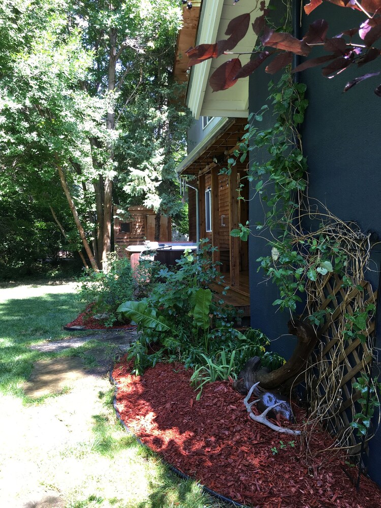 Little Trail Creek Cabins - photo 20