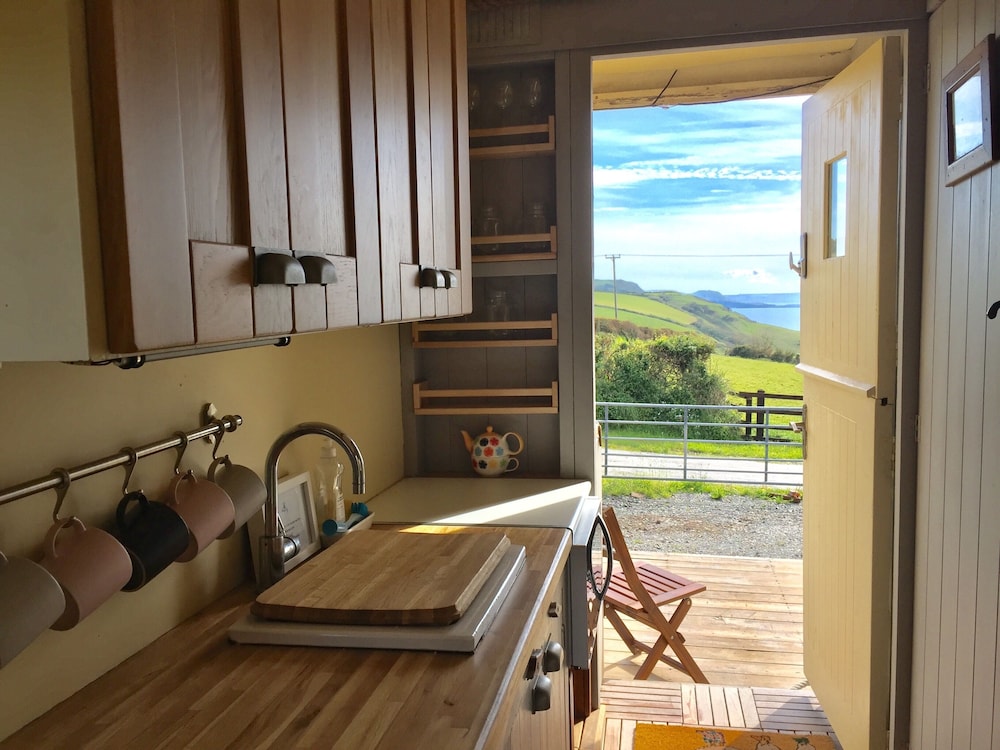 Sea the Stars in New Quay, United Kingdom