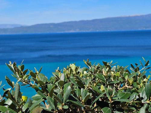 Konaci Manastir Sveti Stefan Ohrid in Ohrid, Republic of Macedonia