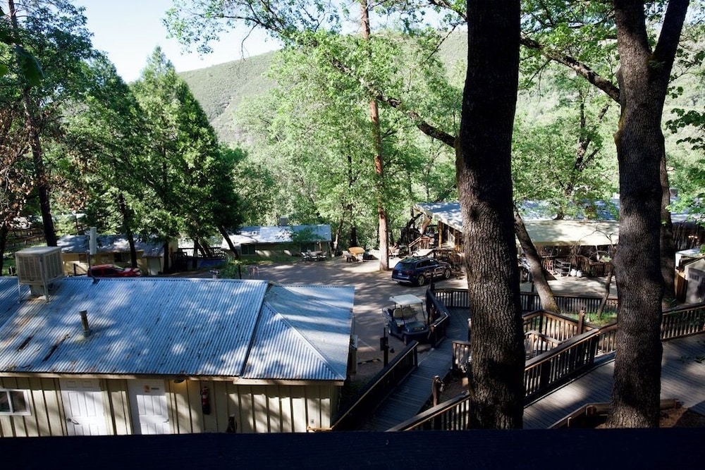 Yosemite Bug Rustic Mountain Resort - photo 130