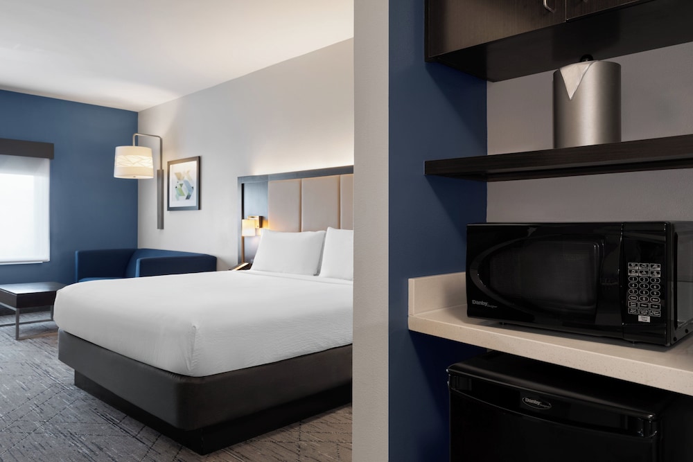 Holiday Inn Express & Suites Tampa East Ybor City by IHG - photo 15