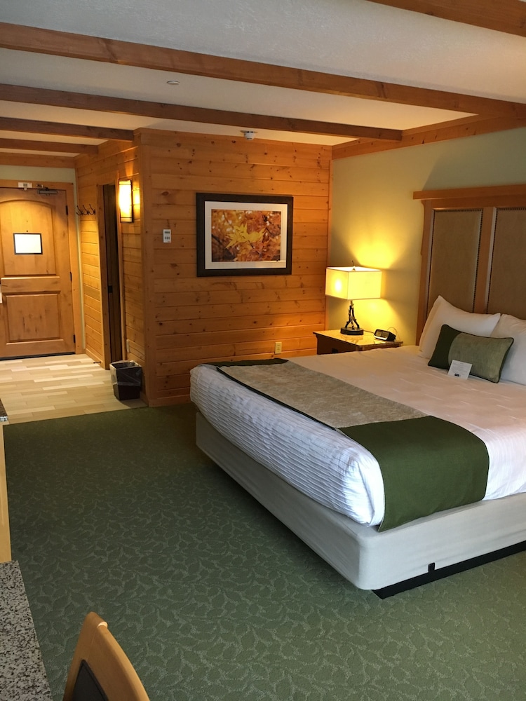 Best Western Premier Brian Head Hotel & Spa - photo 5