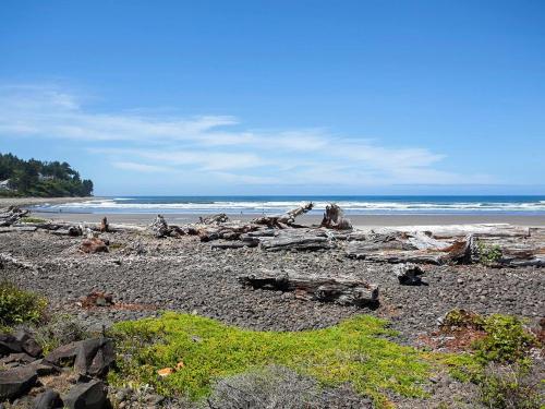 Seaside Cove Vue - photo 9
