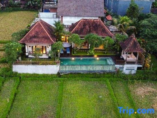 Umah Sunset — Ubud — photo 4