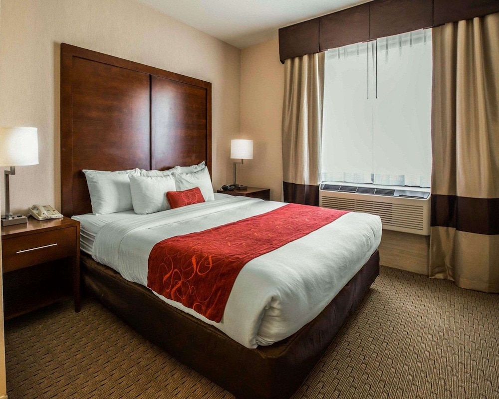 Comfort Suites Stafford Near Sugarland - photo 7