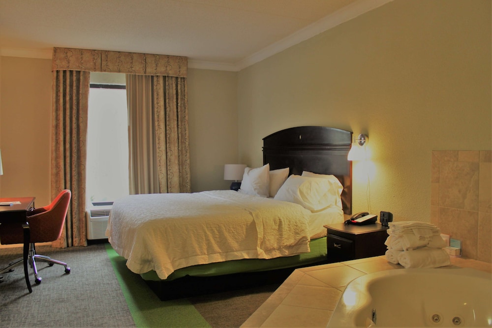 Hampton Inn Americus - photo 16