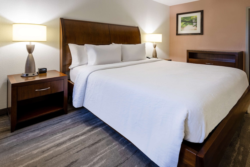 Hilton Garden Inn Roanoke - photo 20