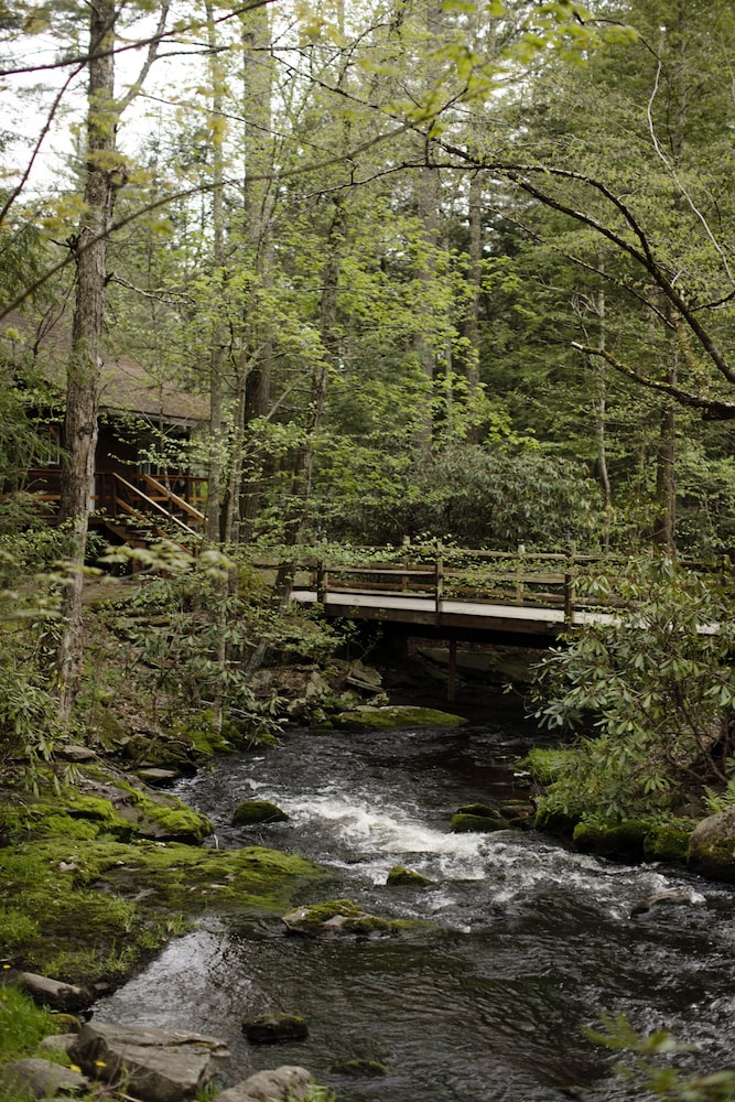 Magnolia Streamside Resort - photo 67