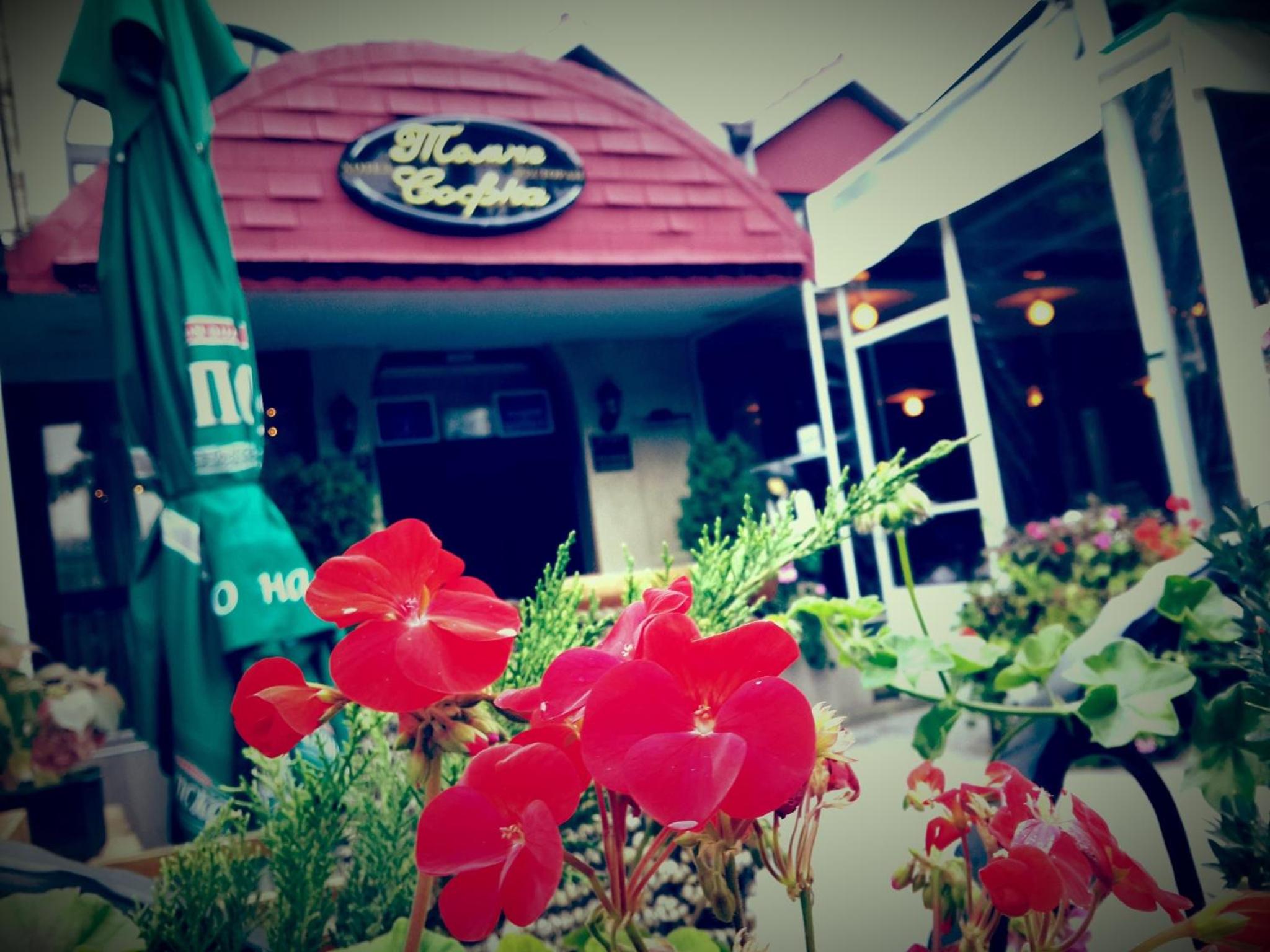 Hotel Tomce Sofka in Skopje, Republic of Macedonia