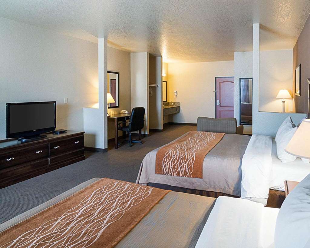 Comfort Inn I 20 Midland Stanton - photo 39