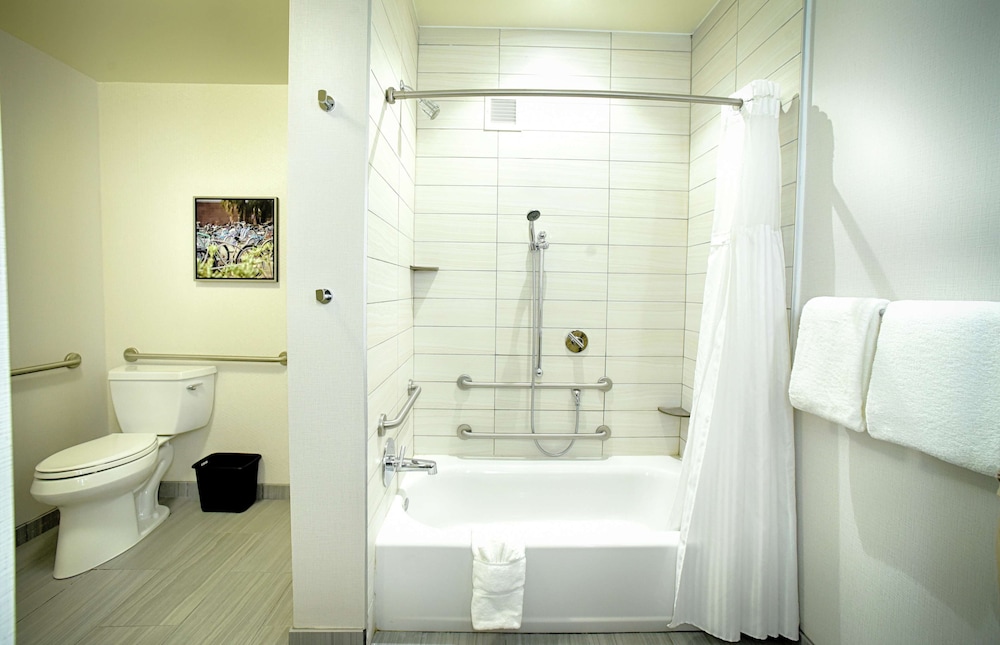 Hilton Garden Inn Santa Barbara Goleta - photo 41