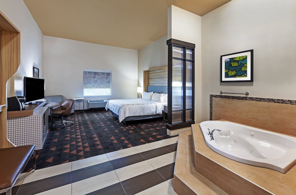 Holiday Inn Amarillo East by IHG - photo 9