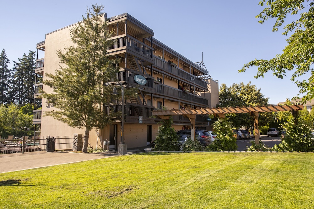 Lakeshore Inn - photo 31