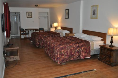 Golden Lion Motel - photo 10