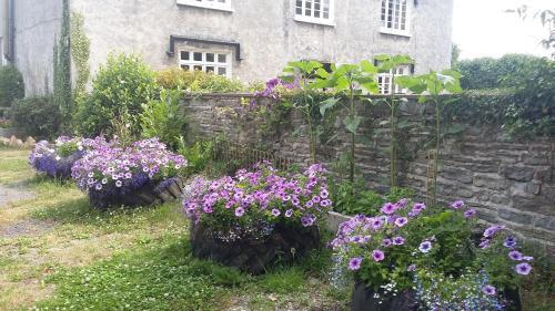 Locking Head Farm - carbon neutral hotel in Locking