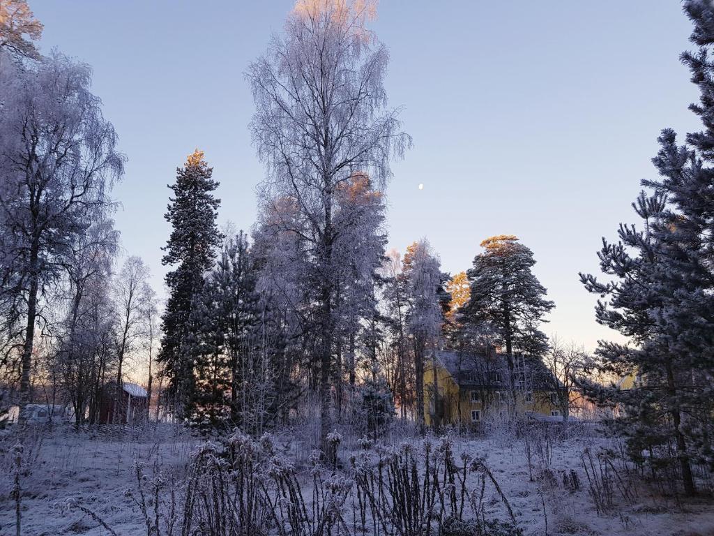 Schwedenhaus Lillkvist in Hagfors, Sweden