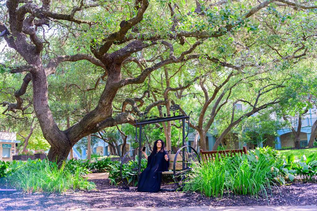 Hyatt Regency Hill Country Resort and Villas - photo 24