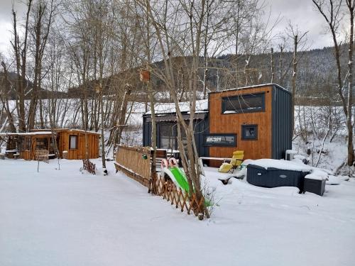 Anciasglamp in Dolny Kubin, Slovakia