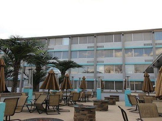 California Palms Hotel & Suites - photo 21
