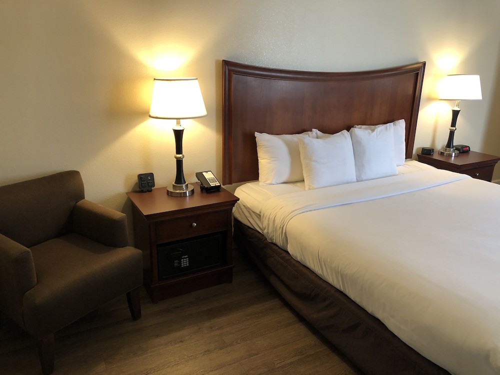 Blu Pacific Hotel - photo 21