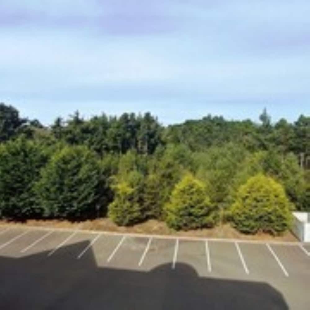 Palace Inn Suites Lincoln City - photo 35