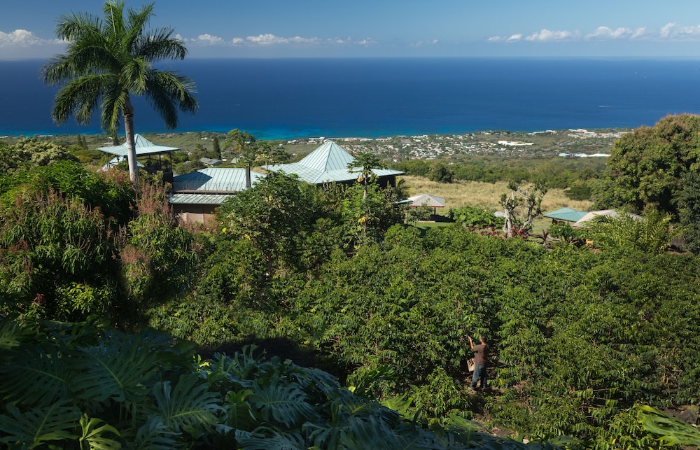 Holualoa Inn - photo 64