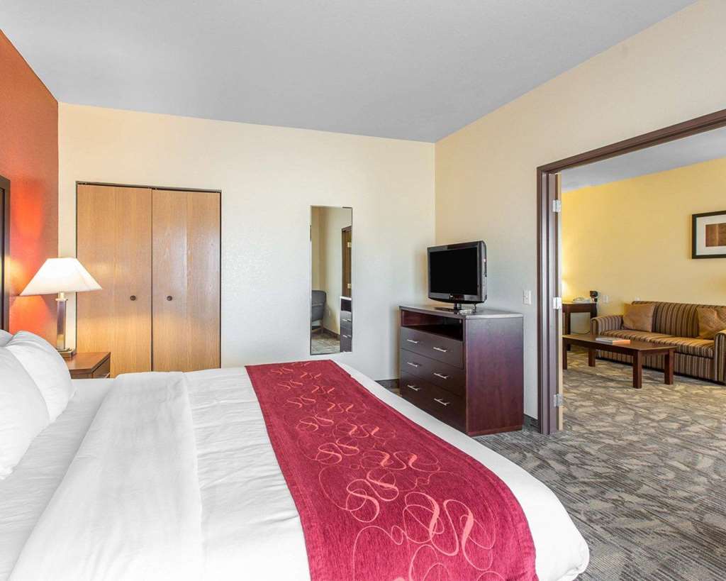 Comfort Suites Palm Desert I 10 - photo 15