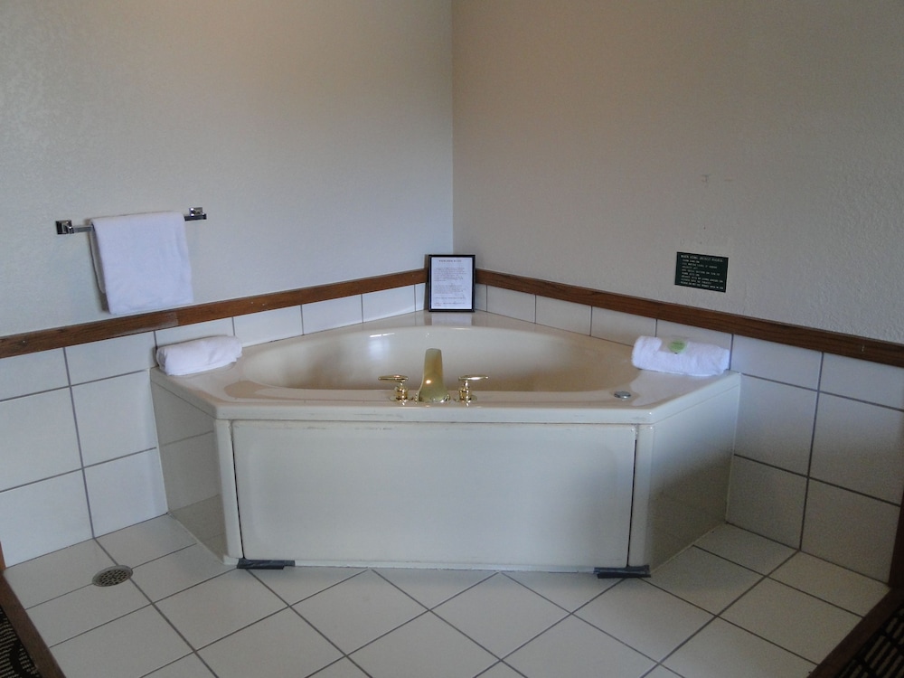 Oscoda Lakeside Hotel - photo 24