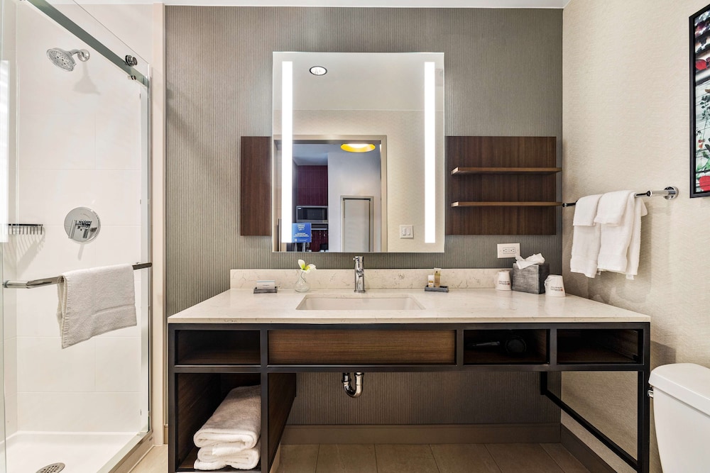 Hilton Garden Inn New Orleans French Quarter CBD - photo 52