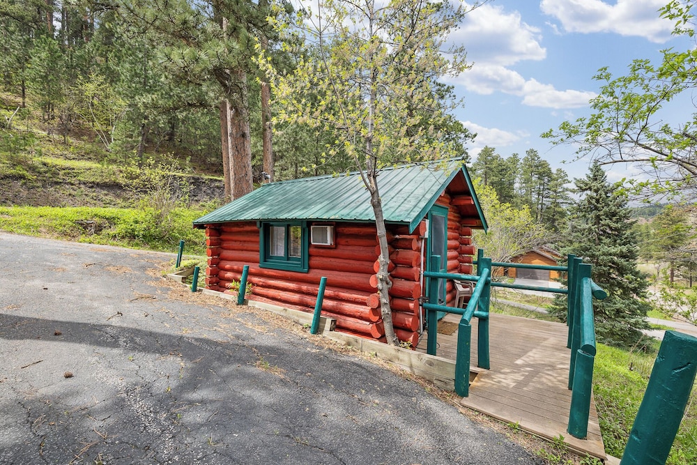 Ponderosa Pines in Lead, United States