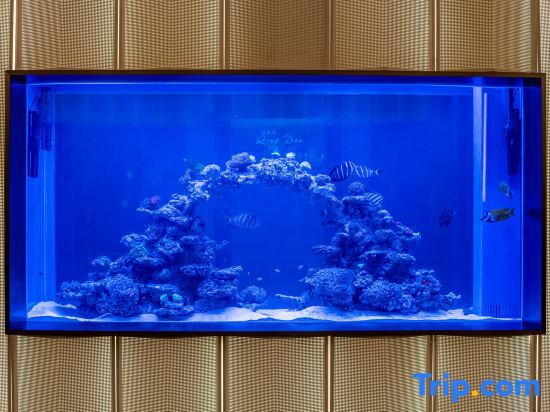 Qingdao Ethos Hotel — 4-Star Luxury Hotel in Qingdao, People's Republic of China
