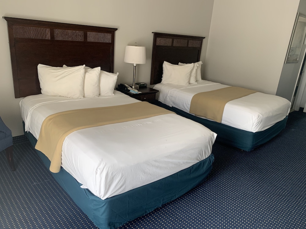 Best Western Turtle Brook Inn - photo 7