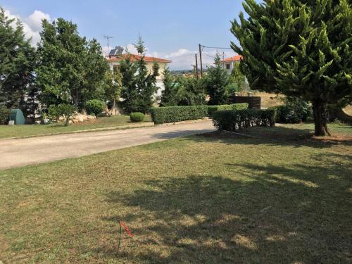 Deppy’s houwe in Nikiti, Greece