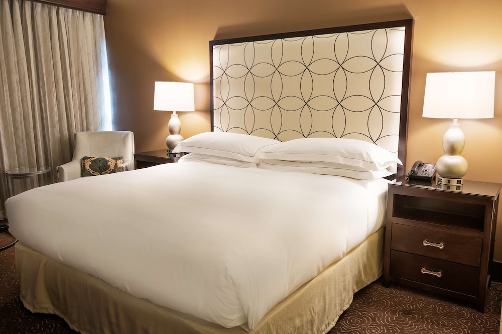 Hilton Baton Rouge Capitol Center - photo 24