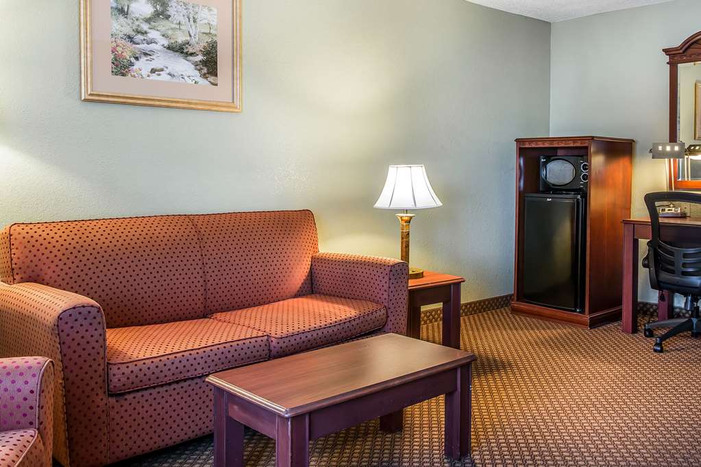 Quality Inn & Suites Ann Arbor Hwy 23 - photo 20
