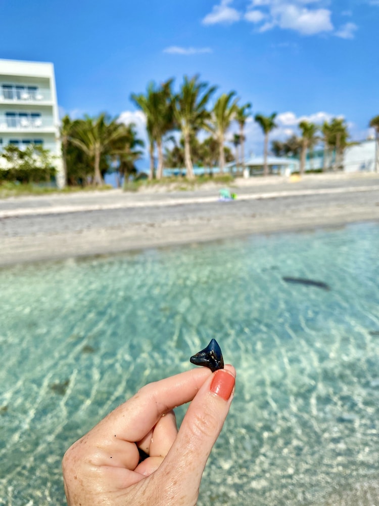 Manasota Key Resort - photo 90