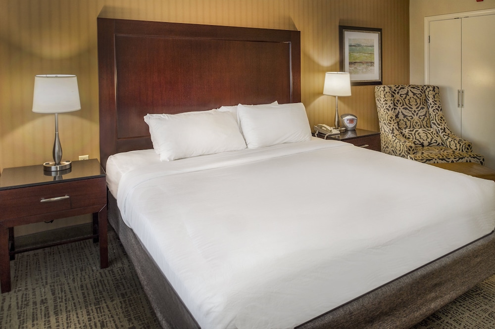 Crowne Plaza St. Louis Airport by IHG - photo 87