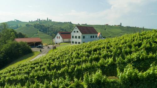 Weinschmiede 18′ in Gamlitz, Austria