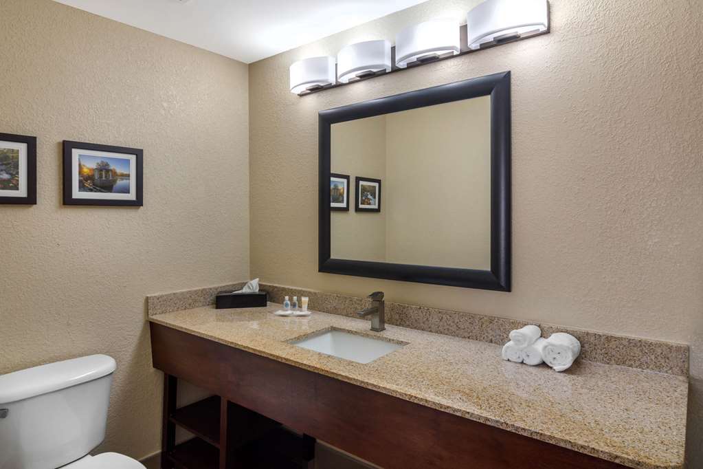 Comfort Suites Woodstock Atlanta North - photo 29