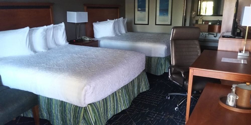 SureStay Plus Hotel by Best Western Clearwater Central - photo 21