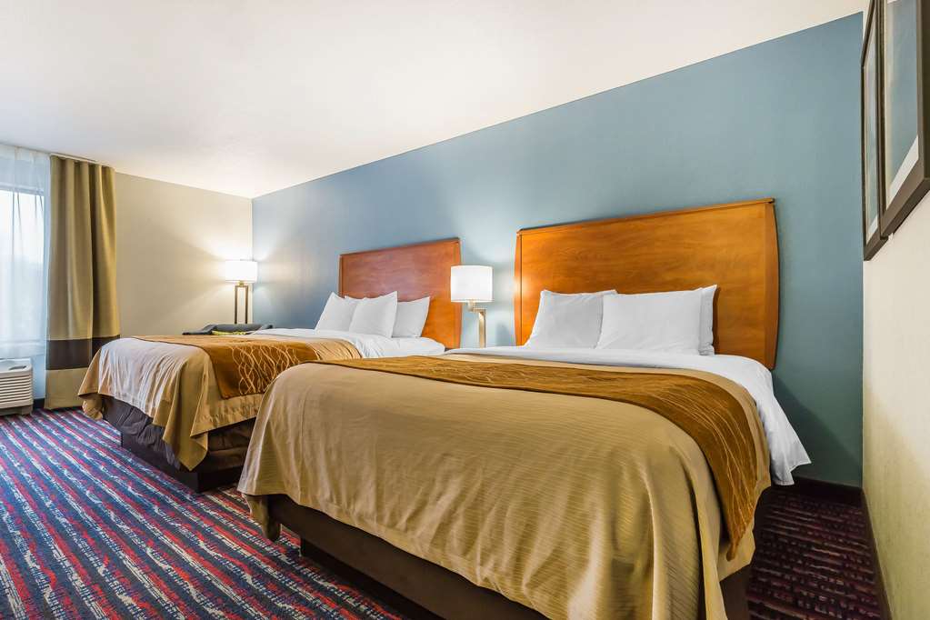 Comfort Inn Alton near I 255 - photo 11