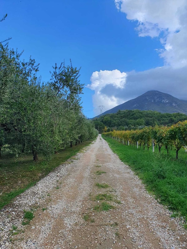 Unique Countryside Loft Room Near Naples — hotel in Melizzano